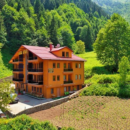 Auga Apart Uzungöl Extérieur photo