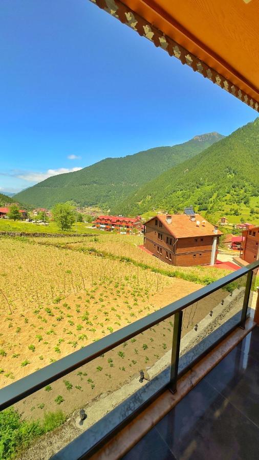 Auga Apart Uzungöl Extérieur photo