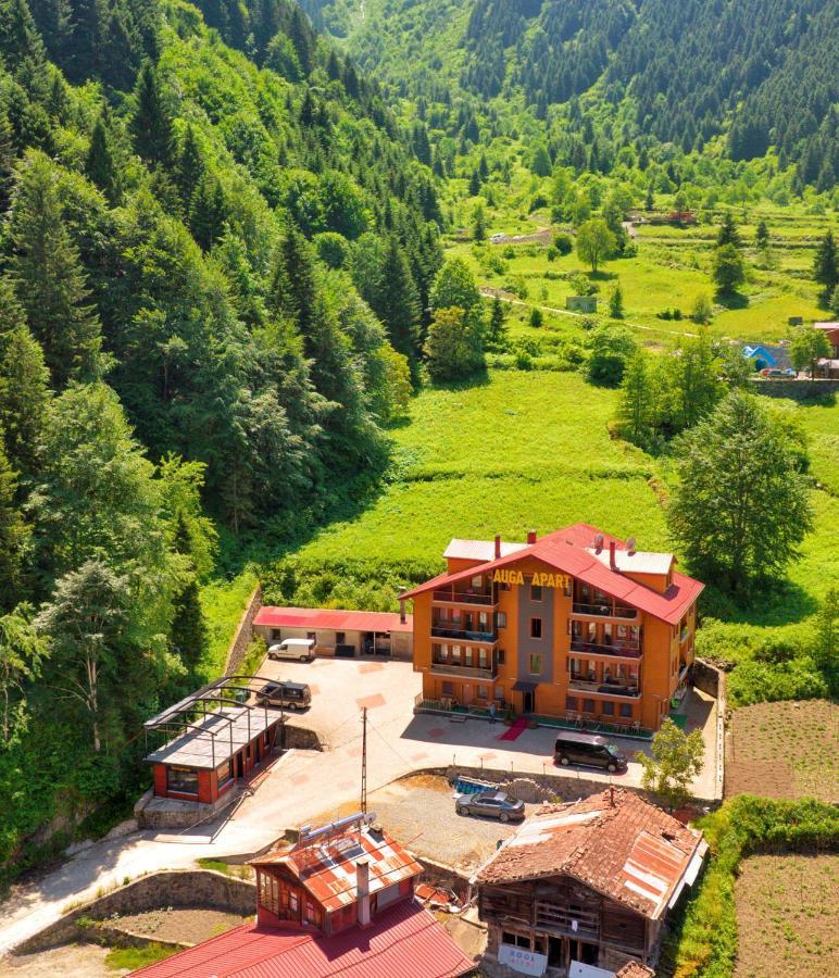 Auga Apart Uzungöl Extérieur photo
