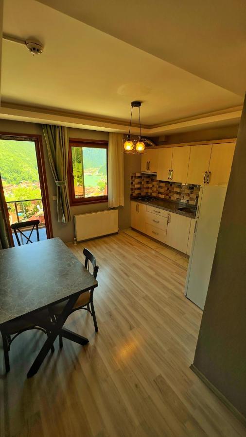Auga Apart Uzungöl Extérieur photo