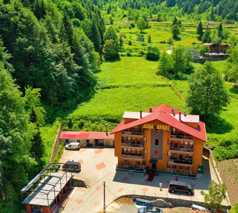 Auga Apart Uzungöl Extérieur photo