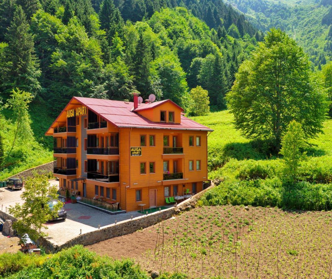 Auga Apart Uzungöl Extérieur photo