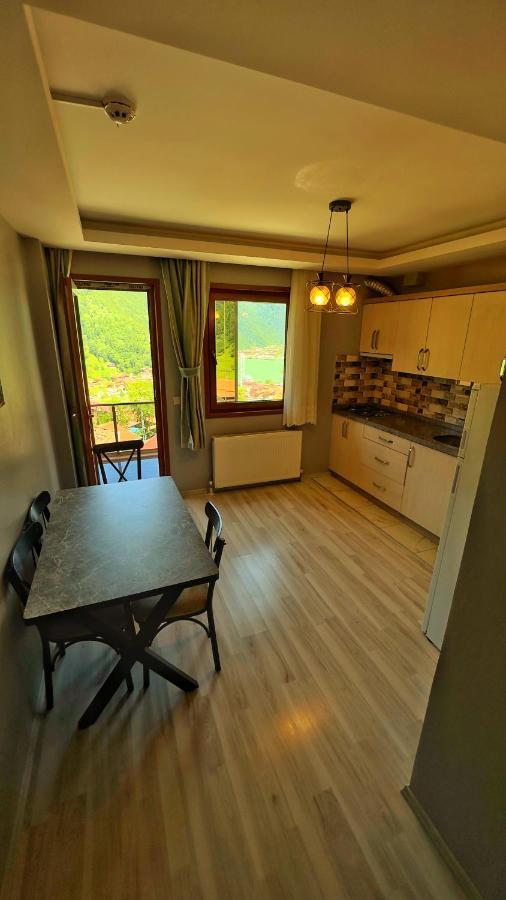 Auga Apart Uzungöl Extérieur photo