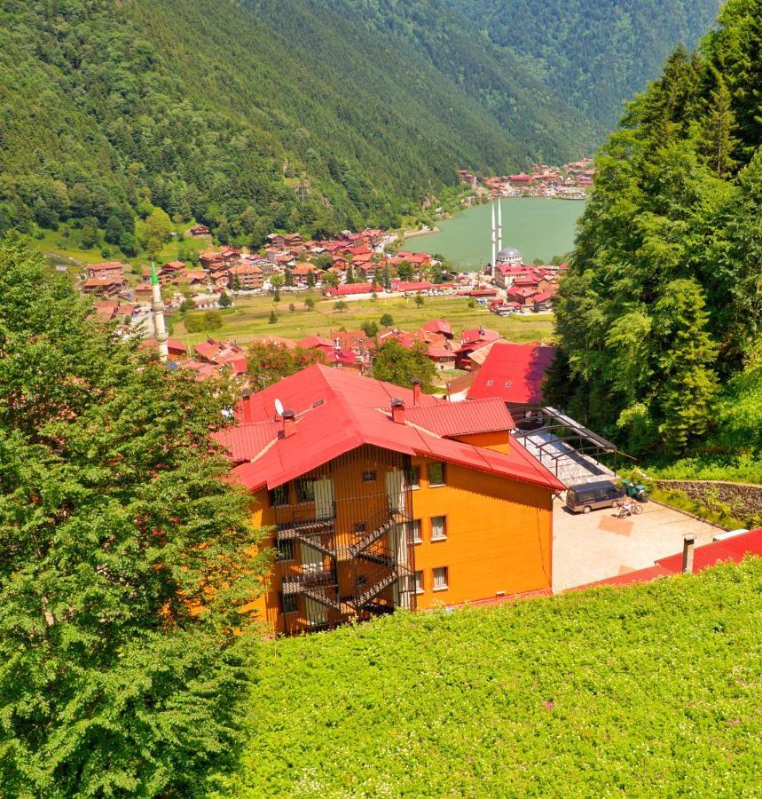 Auga Apart Uzungöl Extérieur photo
